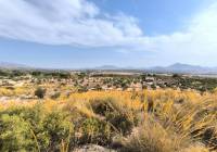 Resale - Land - Sax - Rural location