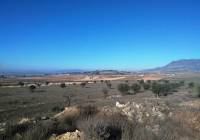 Resale - Land - Torre Del Rico - Rural location