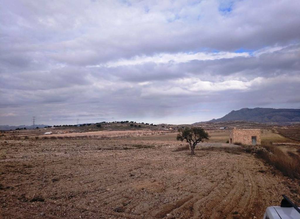 Resale - Land - Torre Del Rico - Rural location