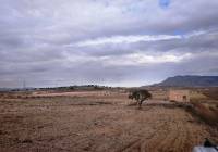 Resale - Land - Torre Del Rico - Rural location