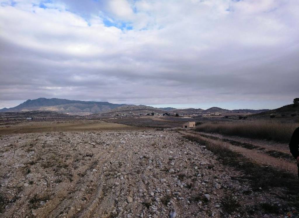 Resale - Land - Torre Del Rico - Rural location