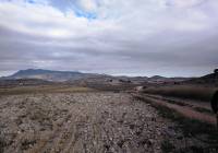 Resale - Land - Torre Del Rico - Rural location