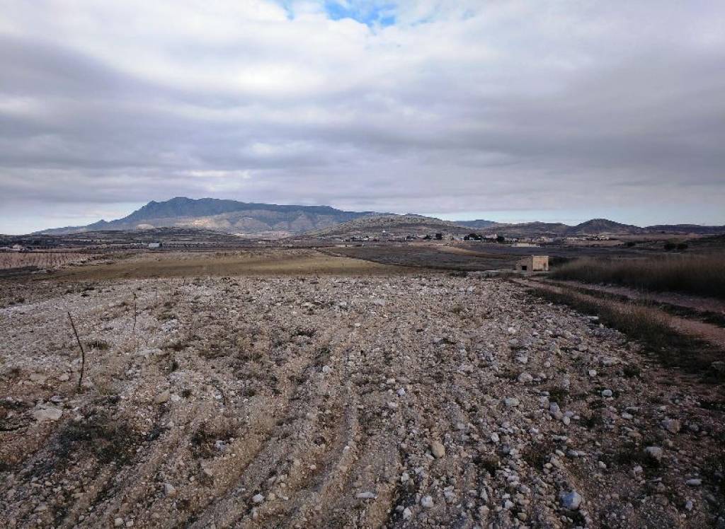 Resale - Land - Torre Del Rico - Rural location