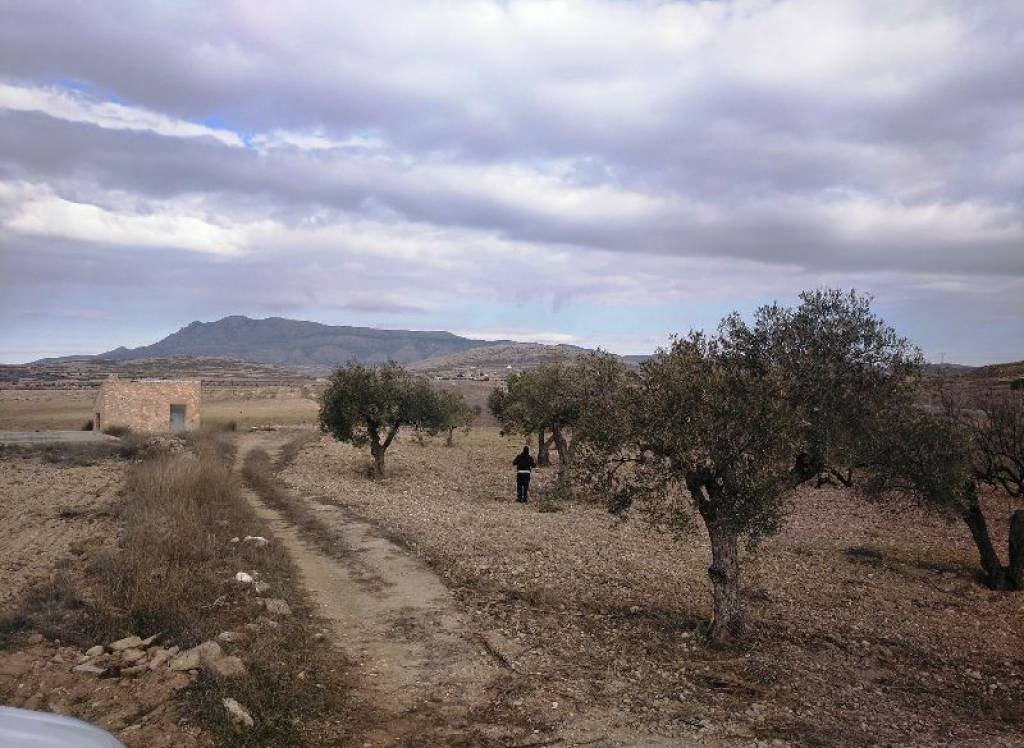 Resale - Land - Torre Del Rico - Rural location
