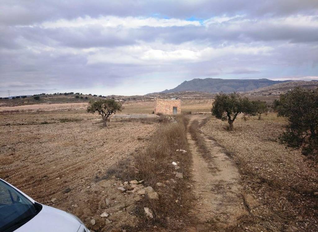 Resale - Land - Torre Del Rico - Rural location