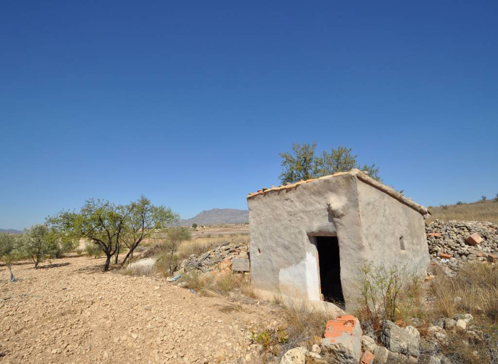 Resale - Land - Torre Del Rico - Rural location