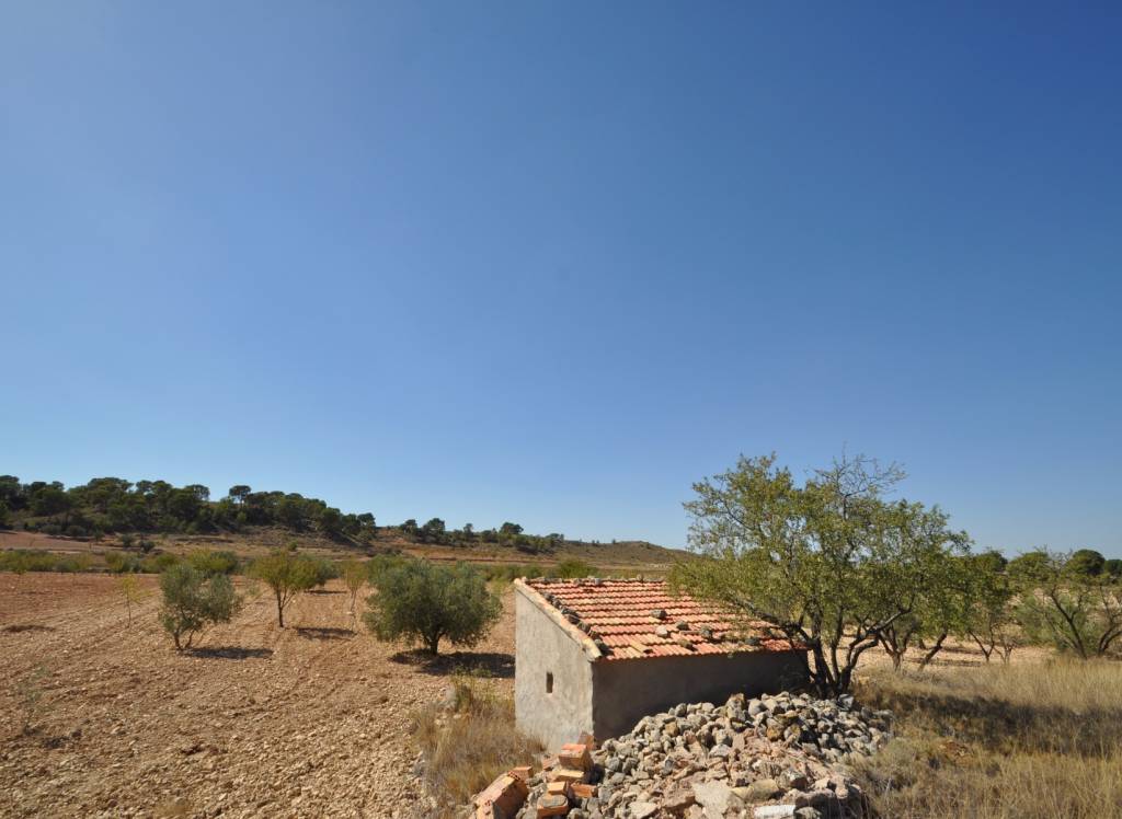 Resale - Land - Torre Del Rico - Rural location