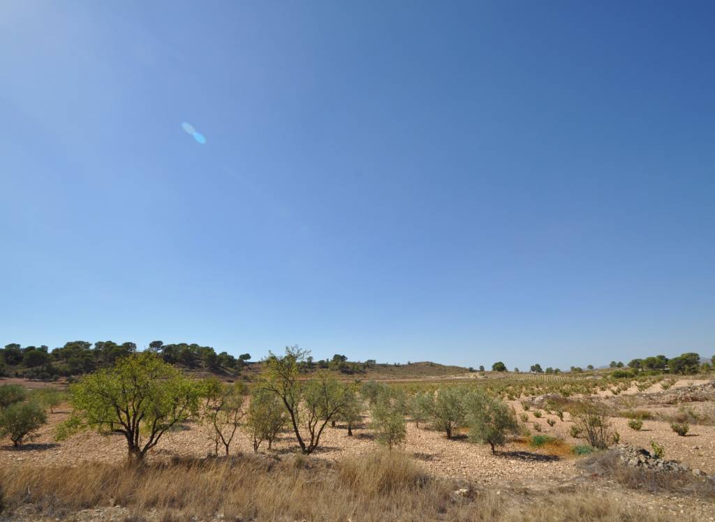 Resale - Land - Torre Del Rico - Rural location