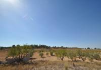 Resale - Land - Torre Del Rico - Rural location