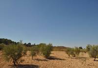 Resale - Land - Torre Del Rico - Rural location