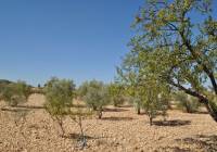Resale - Land - Torre Del Rico - Rural location