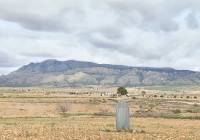 Resale - Land - Torre Del Rico - Rural location