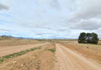 Resale - Land - Torre Del Rico - Rural location