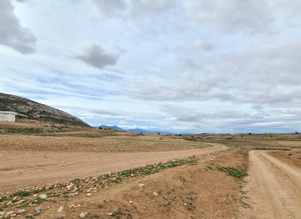 Resale - Land - Torre Del Rico - Rural location