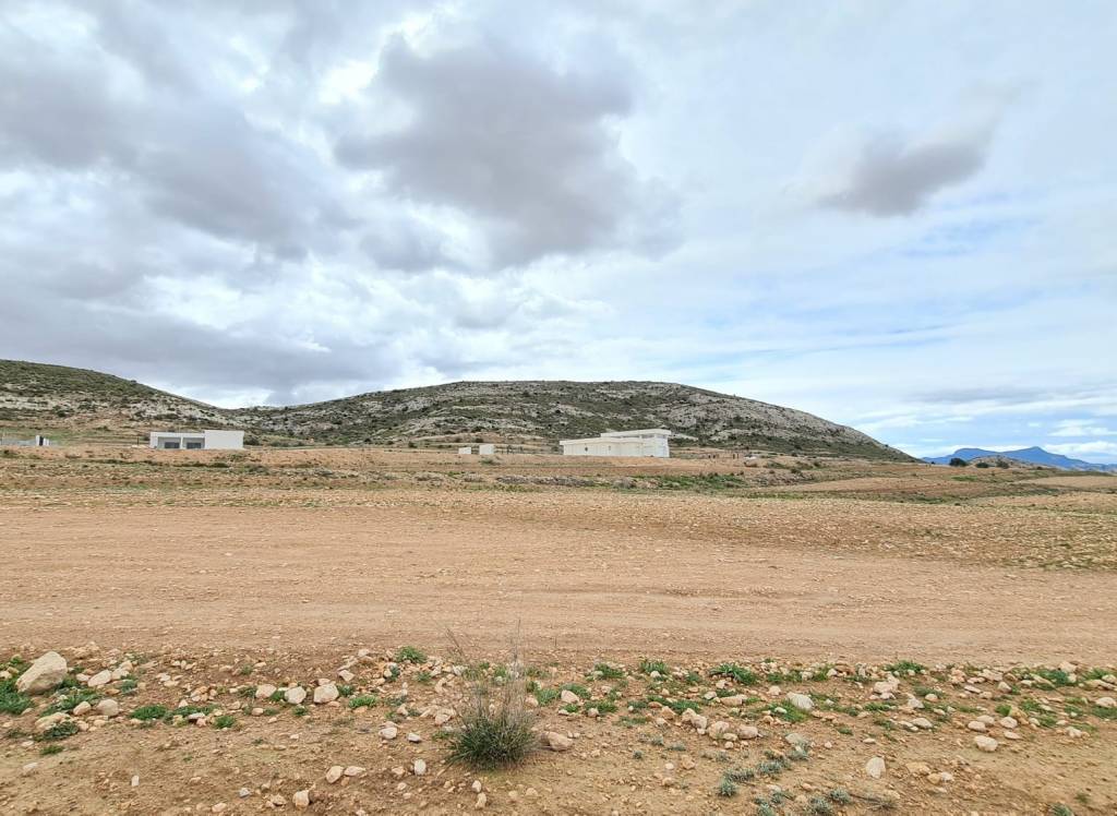 Resale - Land - Torre Del Rico - Rural location