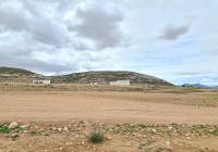 Resale - Land - Torre Del Rico - Rural location