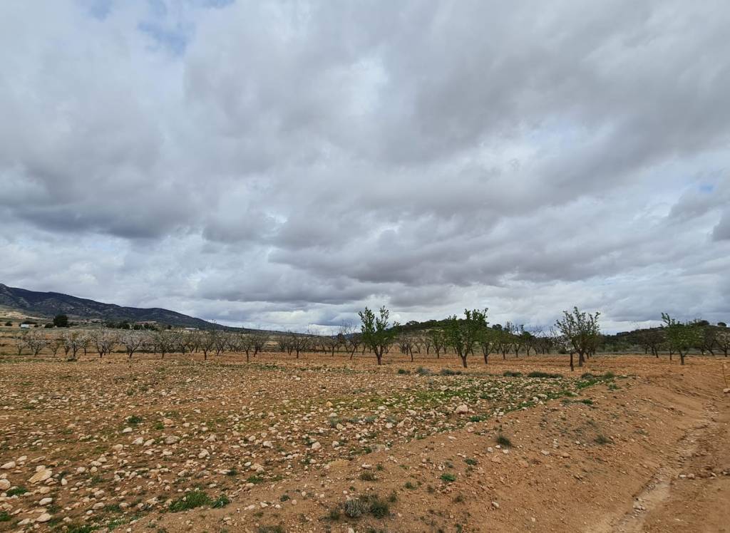 Resale - Land - Torre Del Rico - Rural location