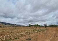 Resale - Land - Torre Del Rico - Rural location