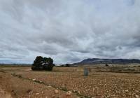 Resale - Land - Torre Del Rico - Rural location