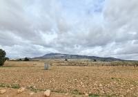 Resale - Land - Torre Del Rico - Rural location