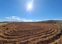 Resale - Land - Yecla - Rural location