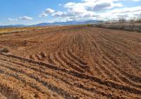 Resale - Land - Yecla - Rural location