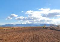 Resale - Land - Yecla - Rural location