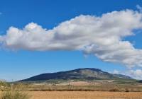 Resale - Land - Yecla - Rural location