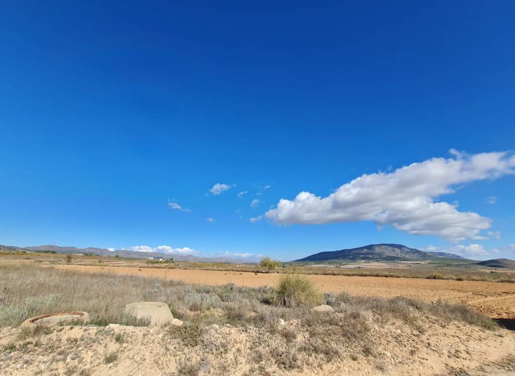 Resale - Land - Yecla - Rural location