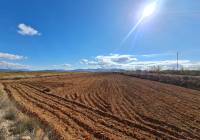Resale - Land - Yecla - Rural location