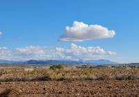 Resale - Land - Yecla - Rural location