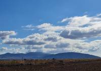 Resale - Land - Yecla - Rural location