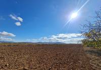Resale - Land - Yecla - Rural location