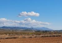 Resale - Land - Yecla - Rural location