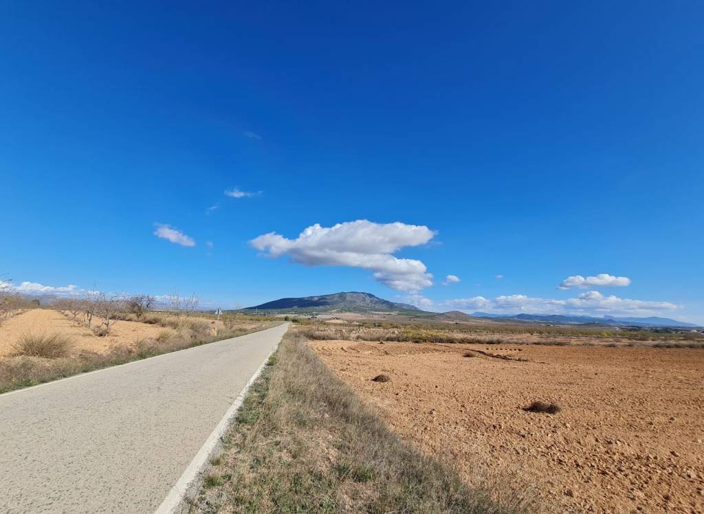 Resale - Land - Yecla - Rural location