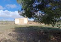 Resale - Land - Yecla