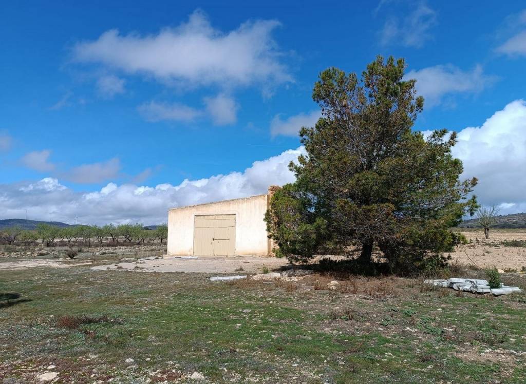 Resale - Land - Yecla