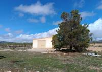 Resale - Land - Yecla