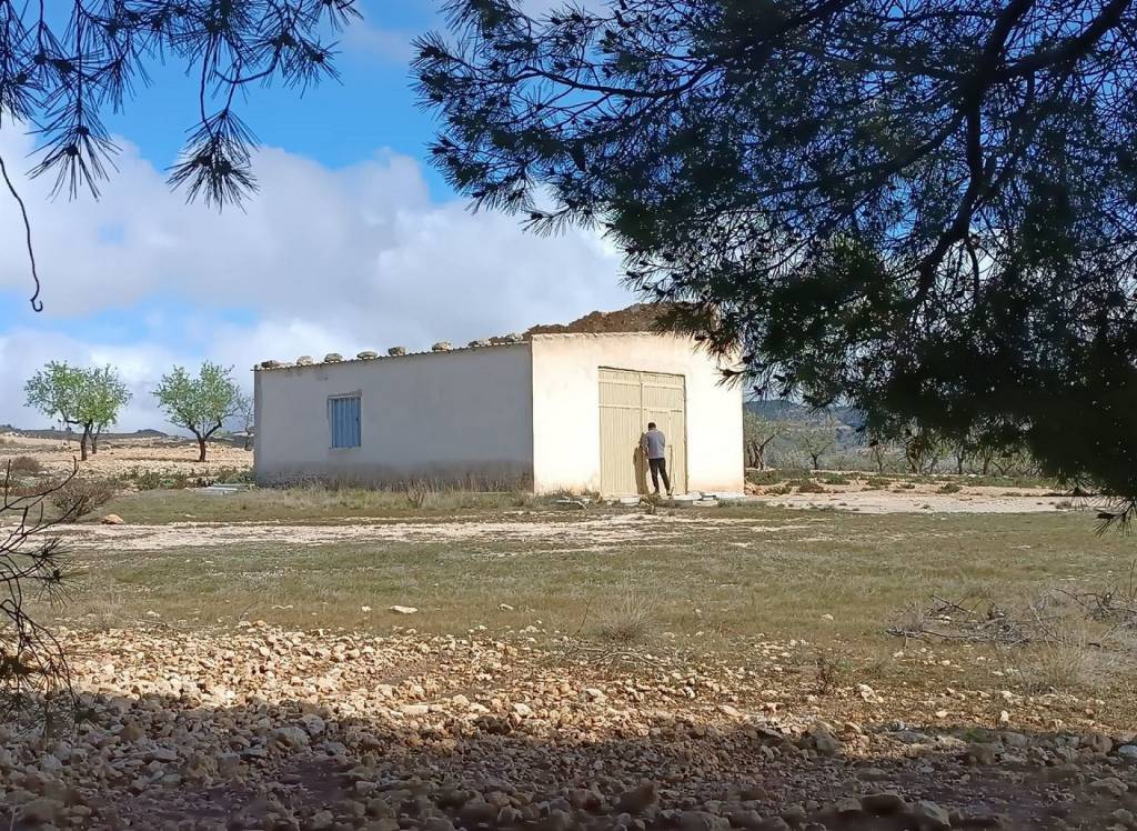 Resale - Land - Yecla