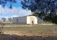 Resale - Land - Yecla