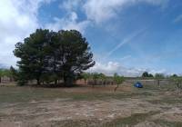 Resale - Land - Yecla