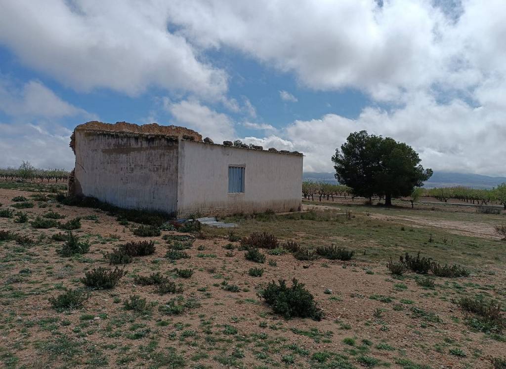 Resale - Land - Yecla