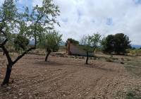 Resale - Land - Yecla