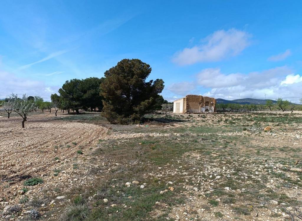 Resale - Land - Yecla