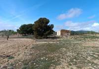 Resale - Land - Yecla