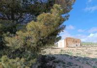 Resale - Land - Yecla