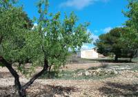 Resale - Land - Yecla