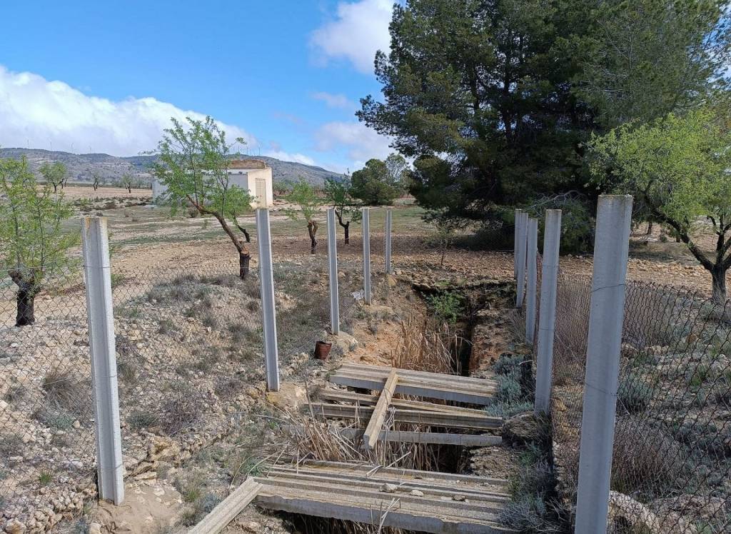 Resale - Land - Yecla