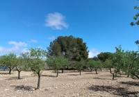 Resale - Land - Yecla