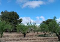 Resale - Land - Yecla